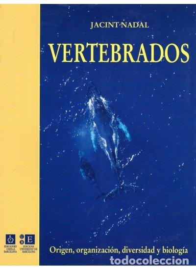 Libri: VERTEBRADOS ORIGEN ORGANIZACION - NADAL, JACINT