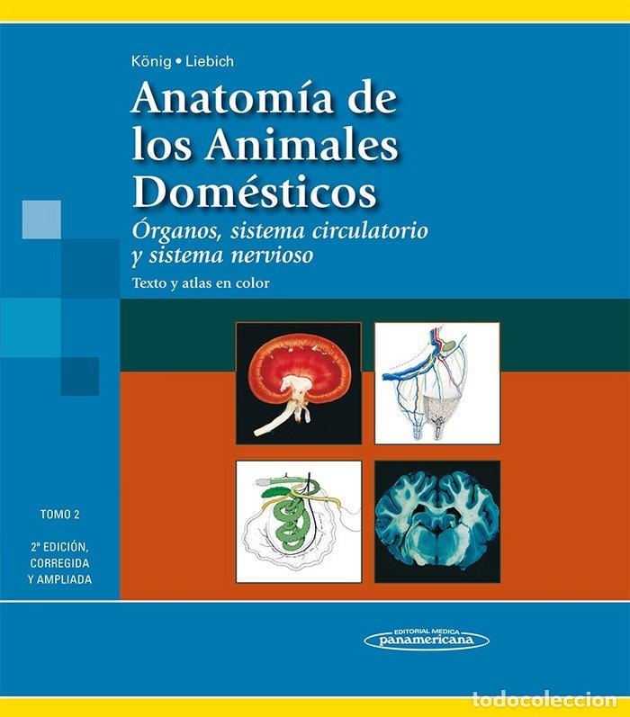 B&uuml;cher: ANATOMIA DE LOS ANIMALES DOMESTICOS TOMO II APARATO LOCOMOT - K&Ouml;NIG, JOSEP