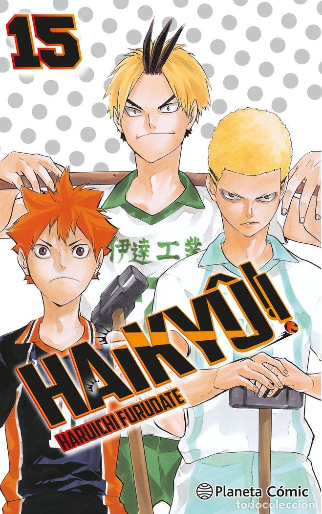 books: HAIKYU 15 - HARUICHI FURUDATE