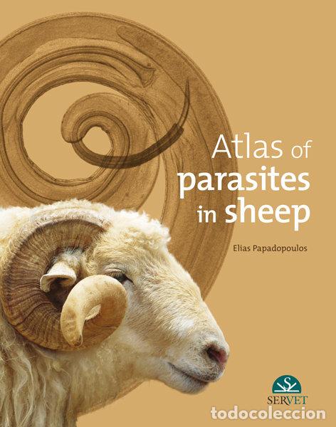 Libros: ATLAS OF PARASITES IN SHEEP - PAPADOPOULOS, ELIAS