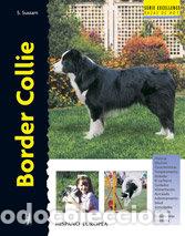 B&uuml;cher: BORDER COLLIE (EXCELLENCE) - SUSSAM, ESTEPHEN