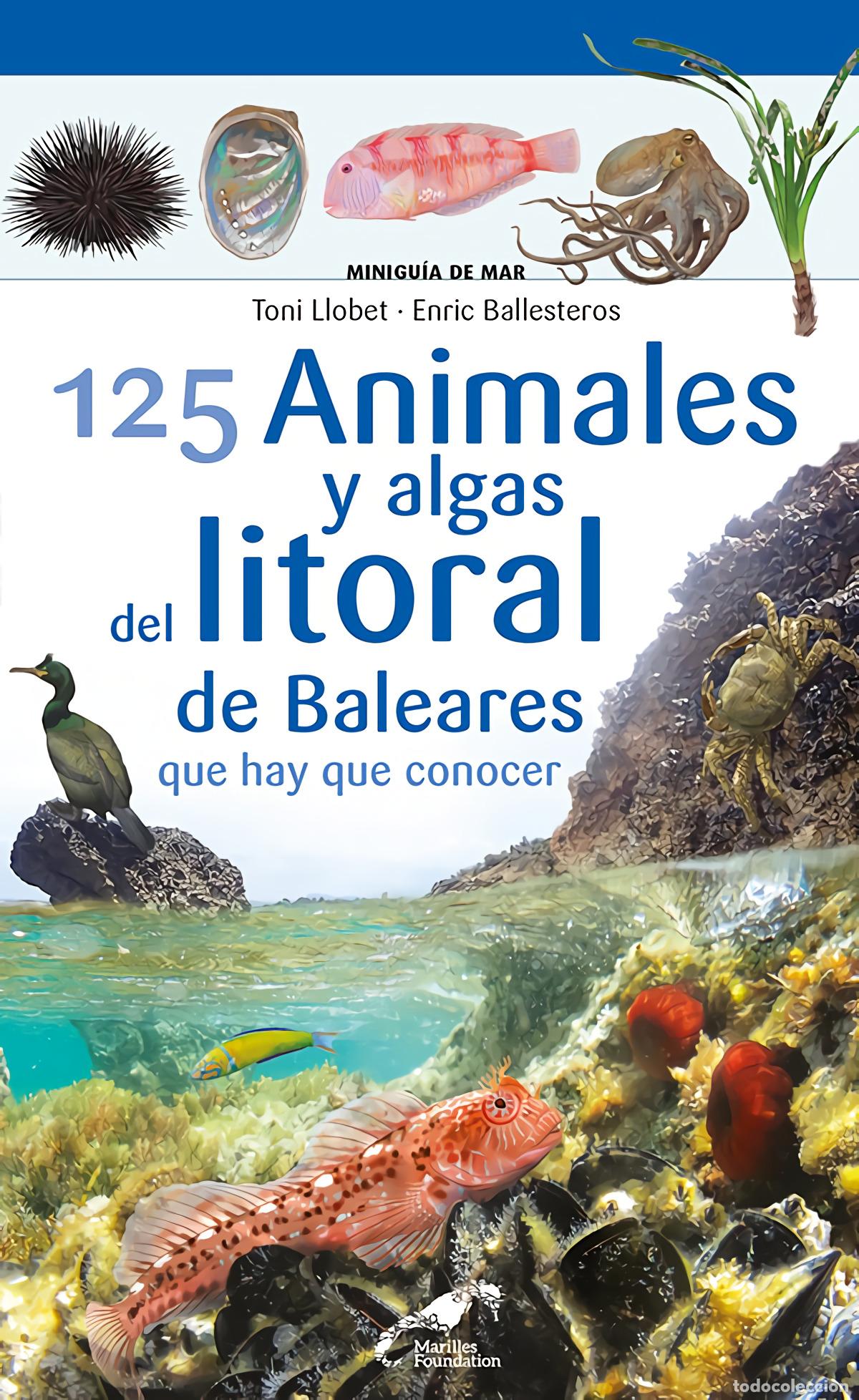 Libros: 125 ANIMALES Y ALGAS DEL LITORAL DE BALEARES QUE HAY QUE CONOCER - Ballesteros Sagarra, Enric