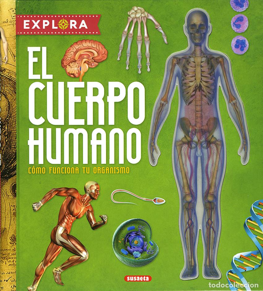 Libros: EL CUERPO HUMANO - Montoro, Jorge
