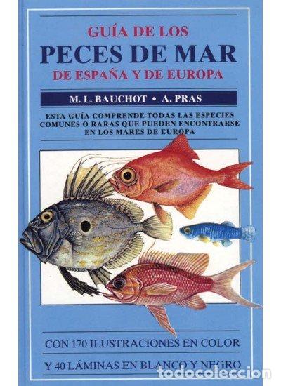 Libros: GUIA PECES MAR ESPA&Ntilde;A EUROPA/OMEGA - BAUCHOT-PRAS