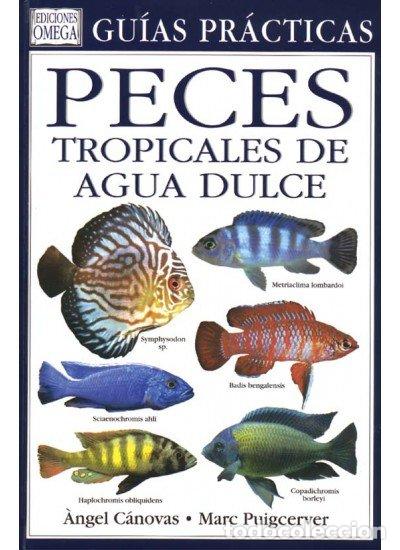 B&uuml;cher: PECES TROPICALES AGUA DULCE GUIA PRACTICA - CANOVAS