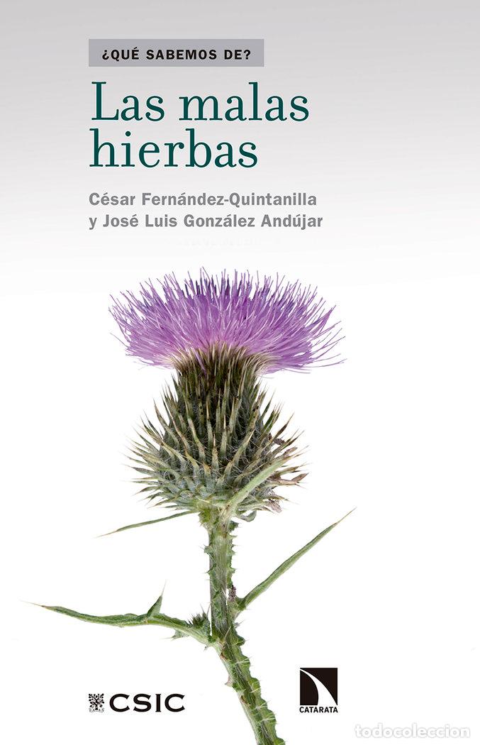 Libros: MALAS HIERBAS,LAS - FERNANDEZ QUINTANILLA, CESAR