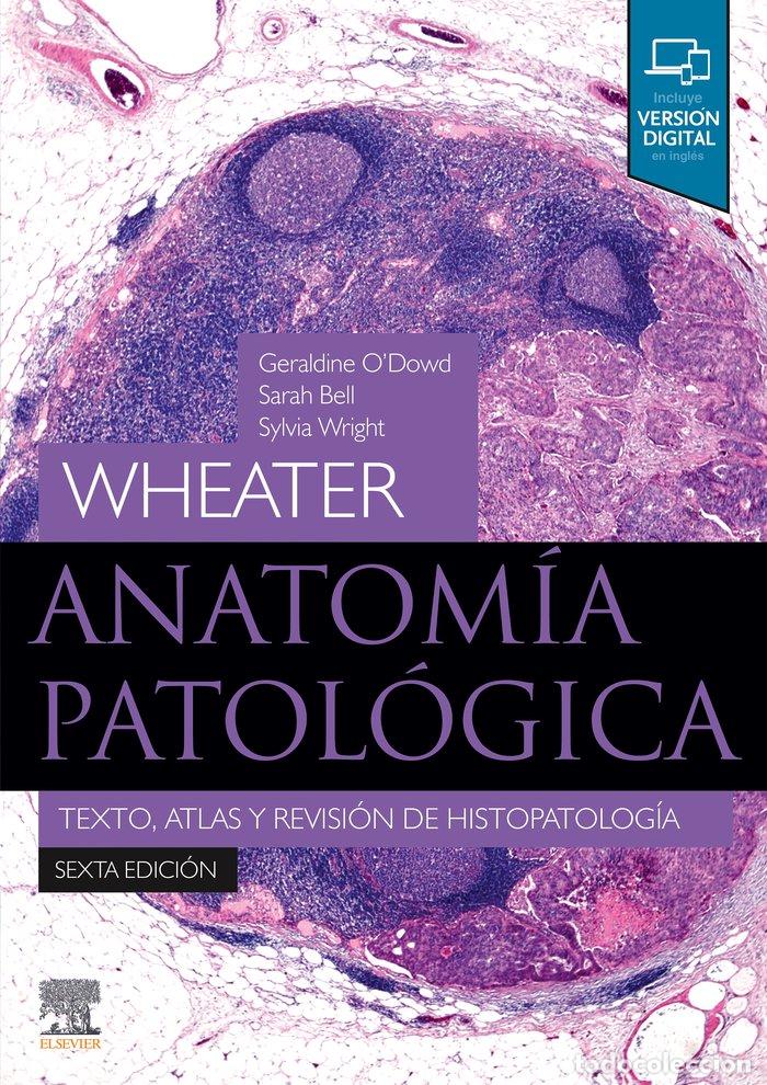 Libros: ANATOMIA PATOLOGICA - AA.VV