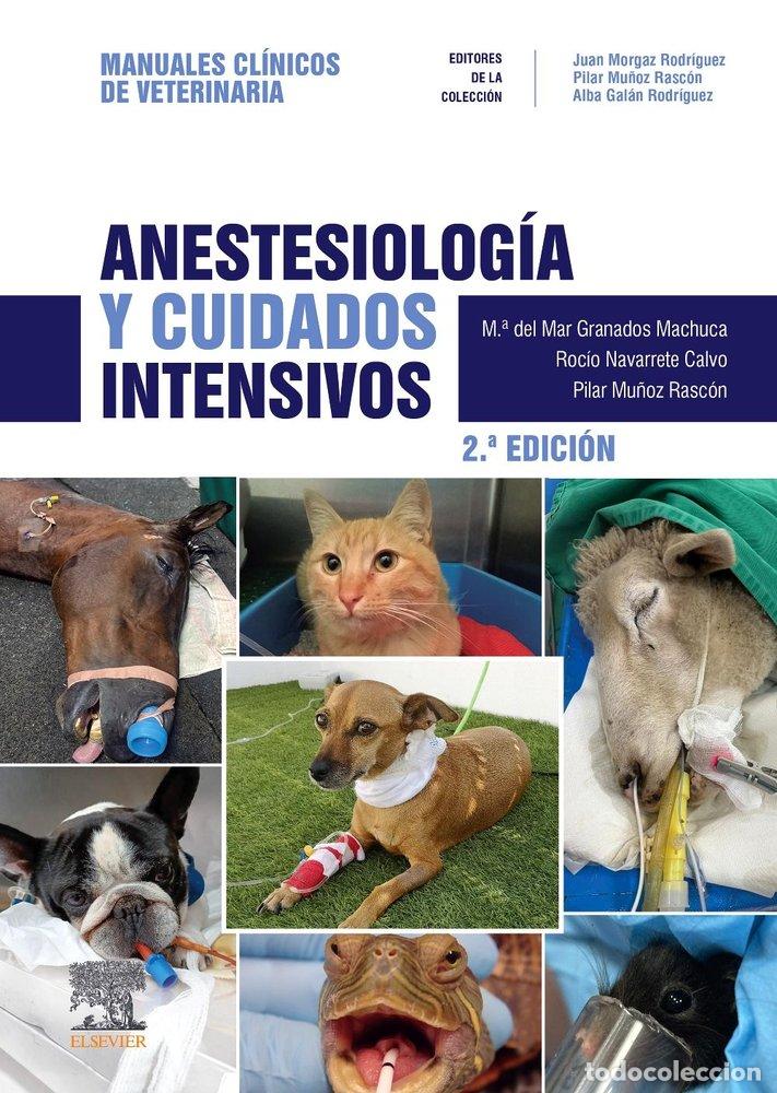 B&uuml;cher: ANESTESIOLOGIA Y CUIDADOS INTENSIVOS 2&ordf; ED - GRANADOS
