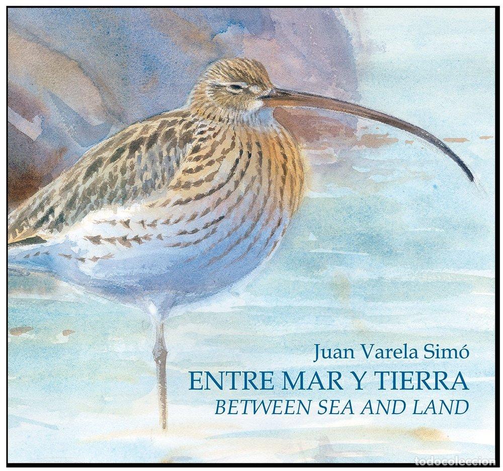 B&uuml;cher: ENTRE MAR Y TIERRA-BETWEEN SEA AND LAND - VARELA SIMO, JUAN