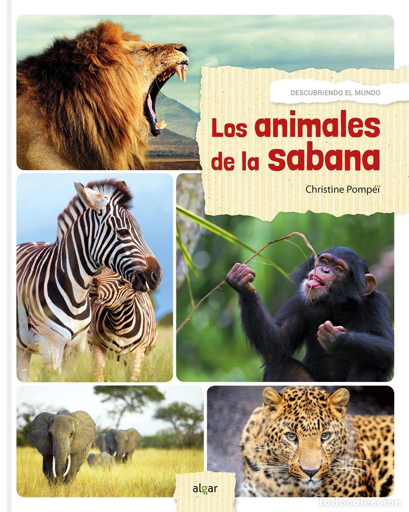 Livres: DESCUBRO LOS ANIMALES DE LA SABANA - POMPEI, CHRISTINE