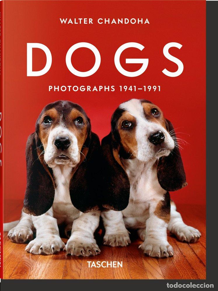 Libros: WALTER CHANDOHA DOGS PHOTOGRAPHS 1941 1991 - .