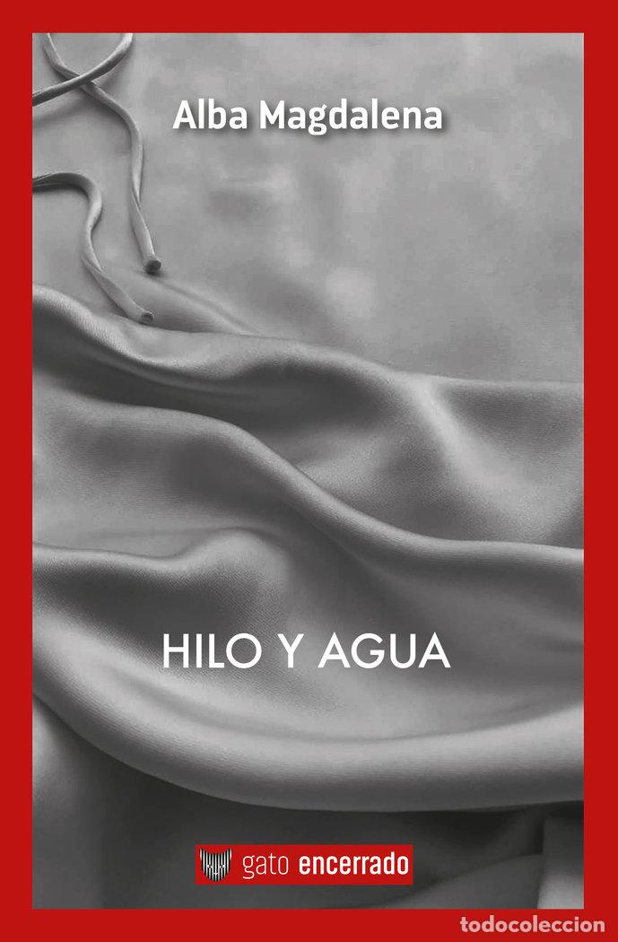 Libros: HILO Y AGUA - GONZALEZ RAIMBAULT, ALBA MAGDALENA