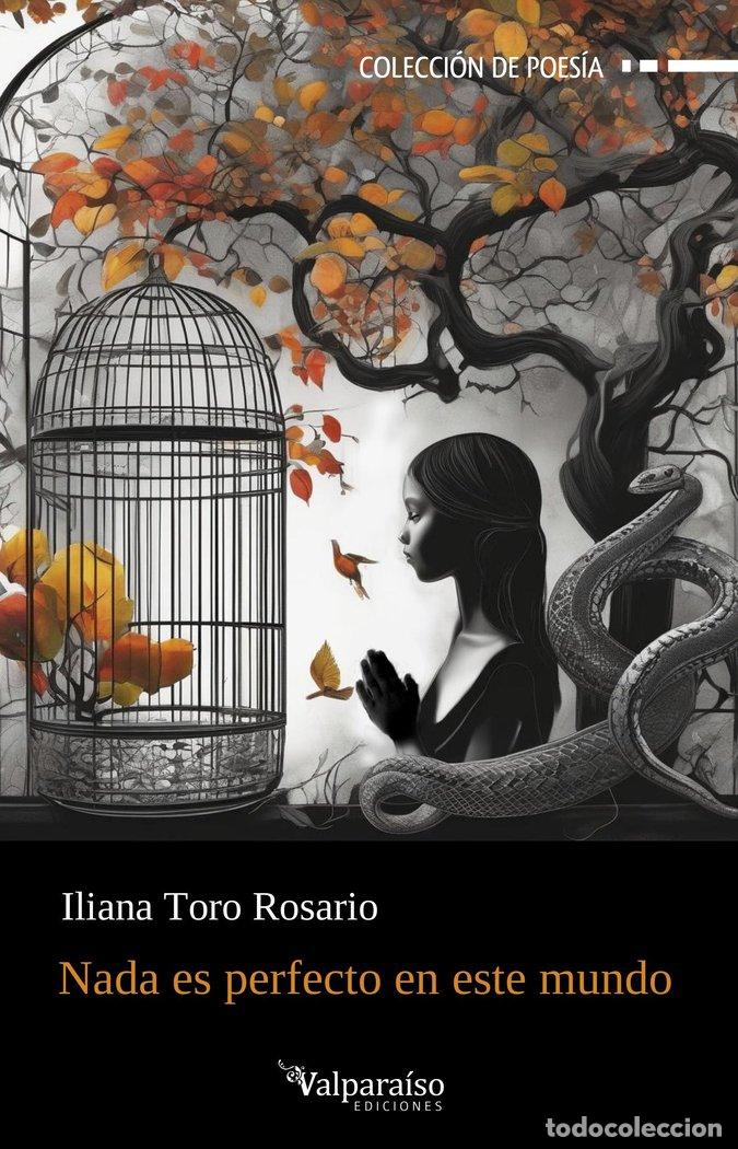 B&uuml;cher: NADA ES PERFECTO EN ESTE MUNDO - TORO ROSARIO, ILIANA