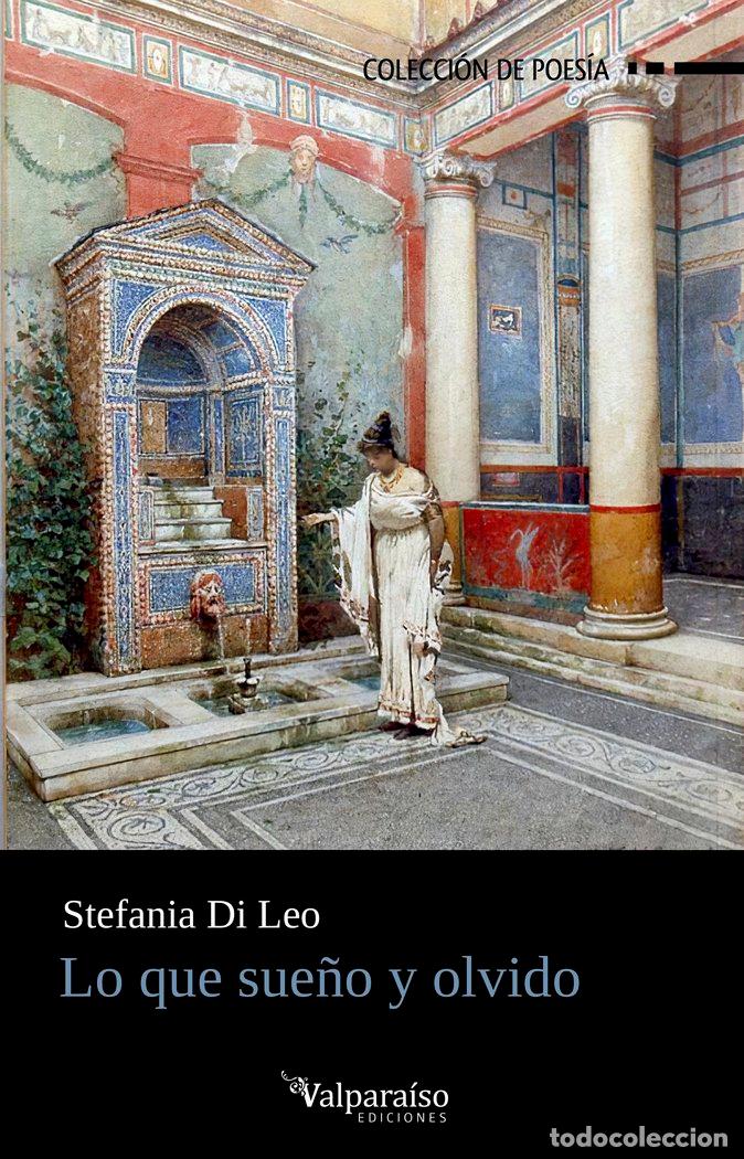 Livros: QUE SUE&Ntilde;O Y OLVIDO,LO - DI LEO, STEFANIA