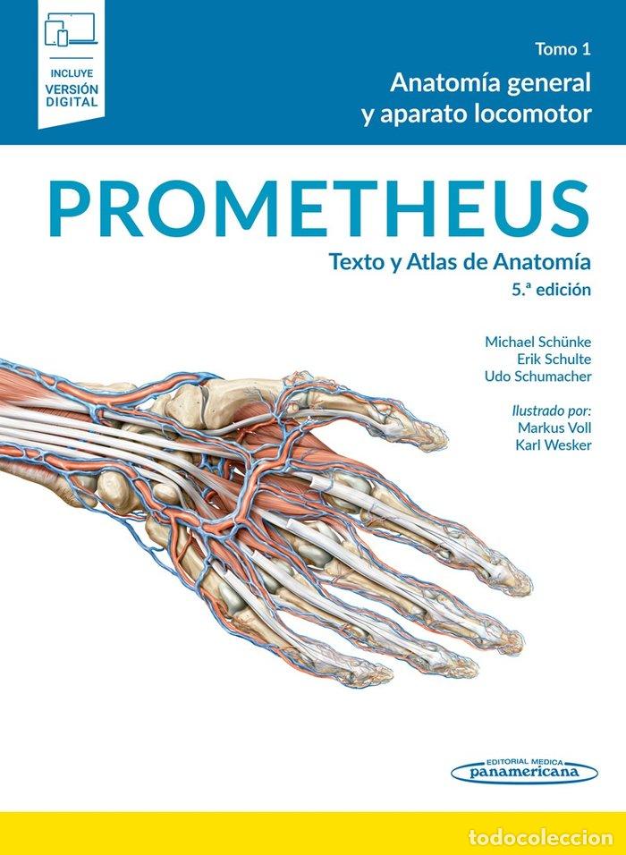 Libri: PROMETHEUS TEXTO Y ATLAS DE ANATOMIA - PROMETHEUS