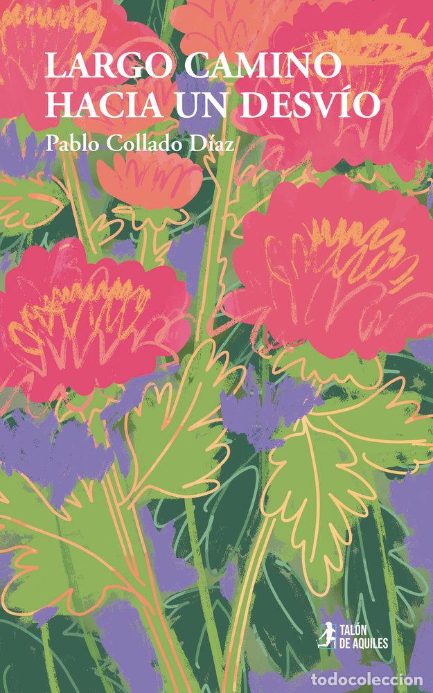 Libri: LARGO CAMINO HACIA UN DESVIO - COLLADO DIAZ, PABLO