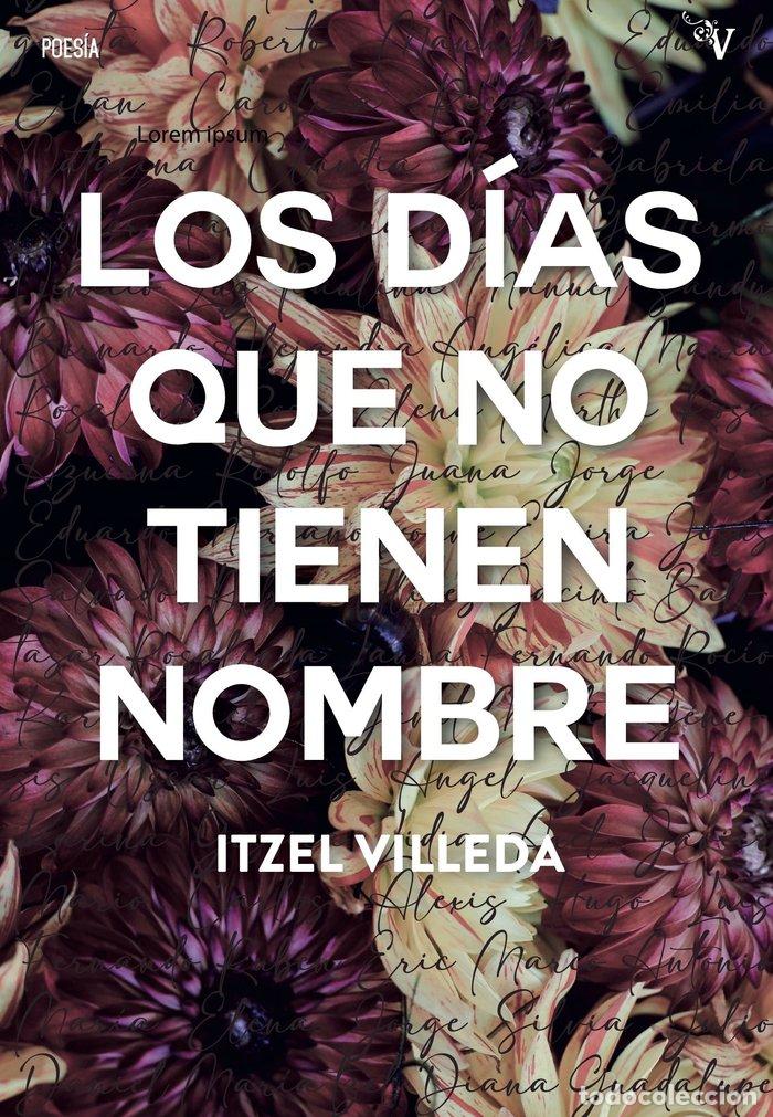 Libros: LOS DIAS QUE NO TIENEN NOMBRE - VILLEDA, ITZEL