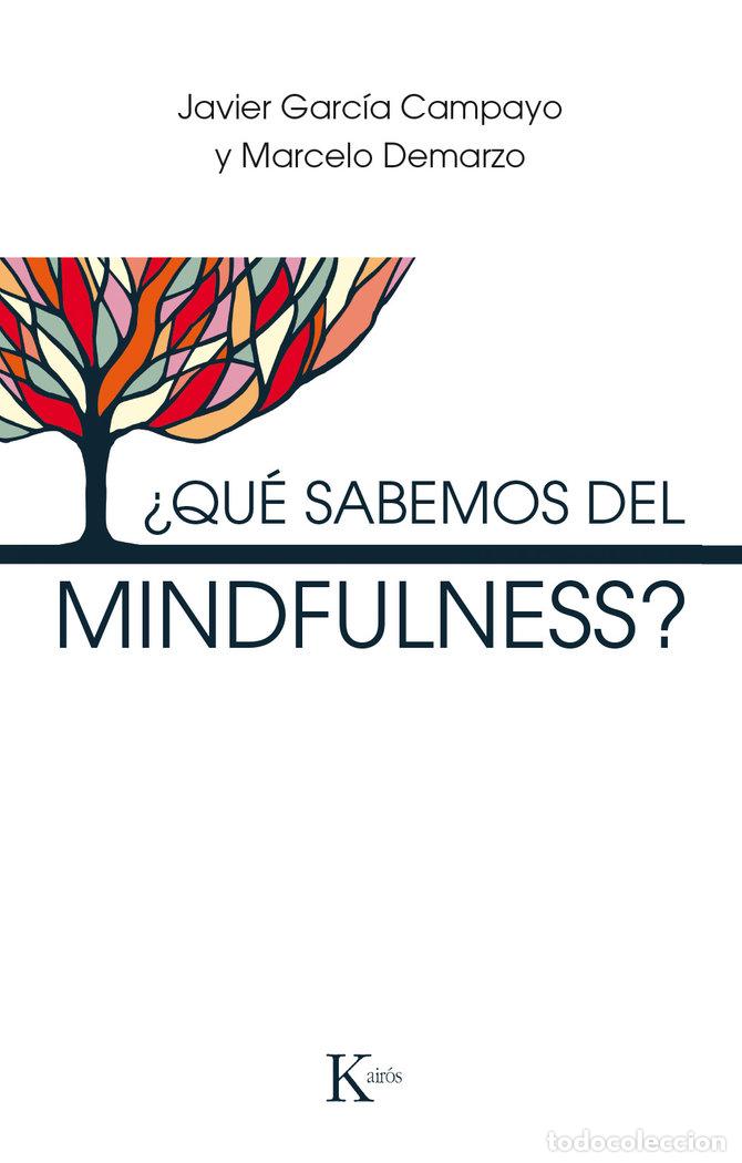 B&uuml;cher: QUE SABEMOS DEL MINDFULNESS - GARCIA CAMPAYO, JAVIER