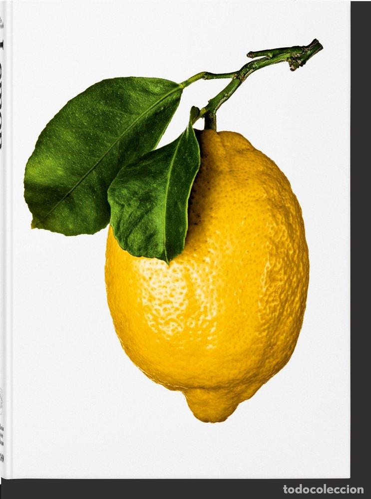 Livros: THE GOURMANDS LEMON A COLLECTION OF STORIES & RECIPES - .