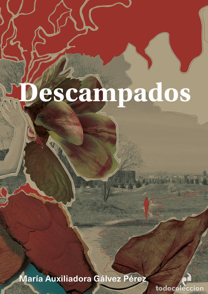 Livros: DESCAMPADOS - GALVEZ PEREZ, M&ordf; AUXILIADORA