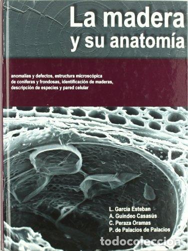 Libros: MADERA Y SU ANATOMIA: ANOMALIAS Y DEFECTOS,LA - GARCIA ESTEBAN, L.
