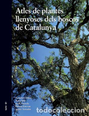 Libros: ATLES DE PLANTES LLENYOSES DELS BOSCOS DE CATALUNYA - LLORET, FRANCISCO