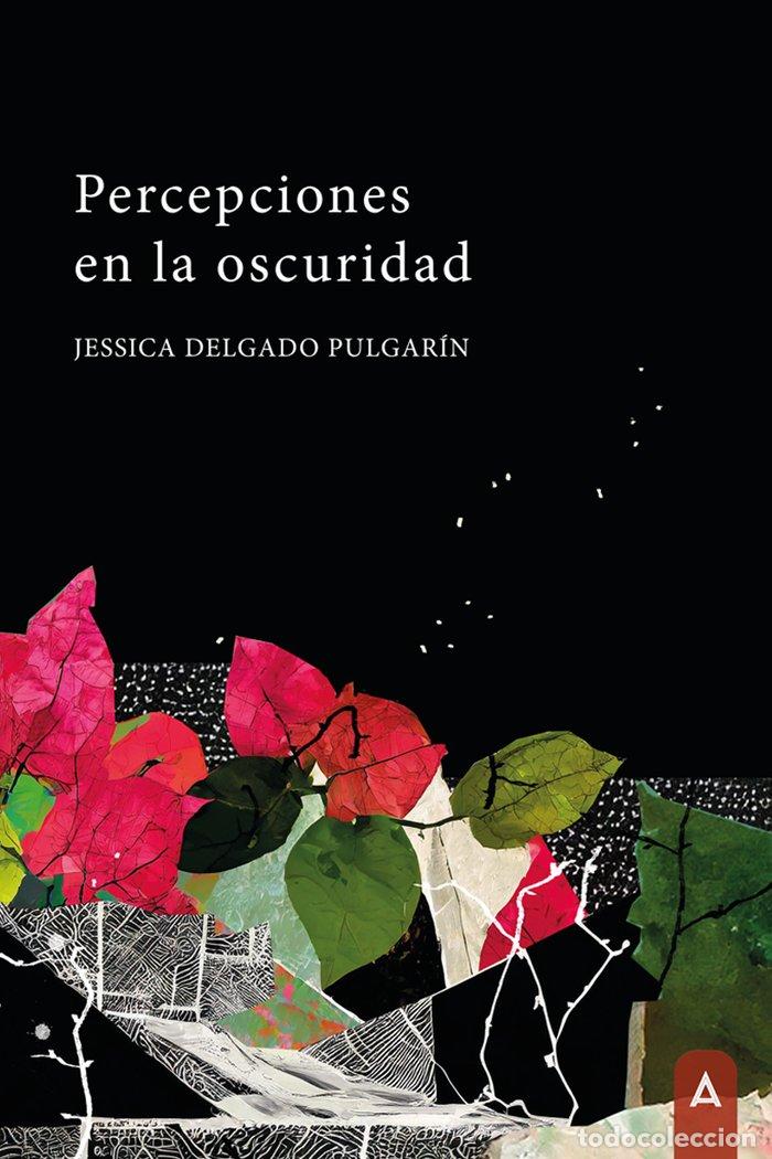 Libros: PERCEPCIONES EN LA OSCURIDAD - DELGADO PULGARIN, JESSICA