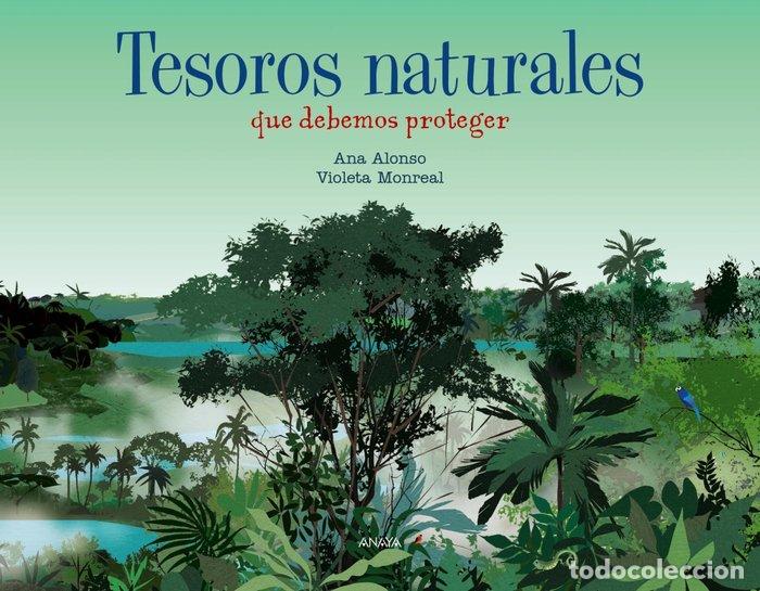 Livros: TESOROS NATURALES - ALONSO, ANA