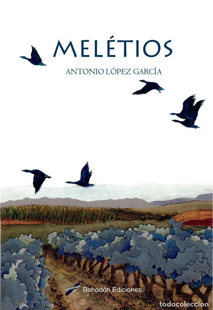 Libros: MELETIOS - LOPEZ GARCIA, ANTONIO