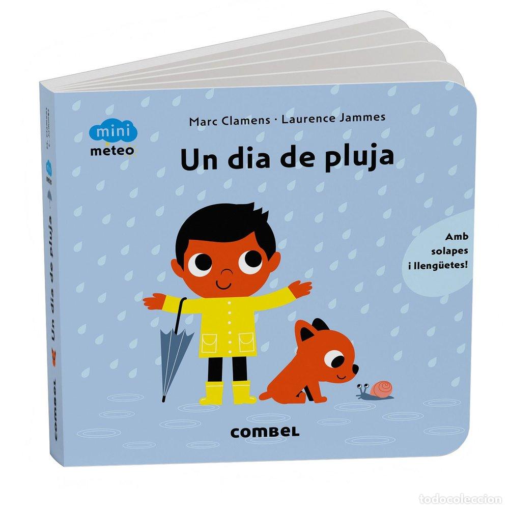 Livres: UN DIA DE PLUJA - ..