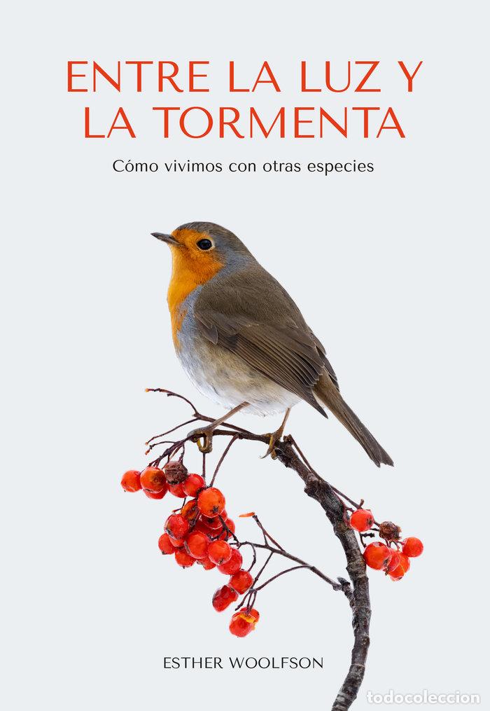 Libros: ENTRE LA LUZ Y LA TORMENTA - WOOLFSON, ESTHER