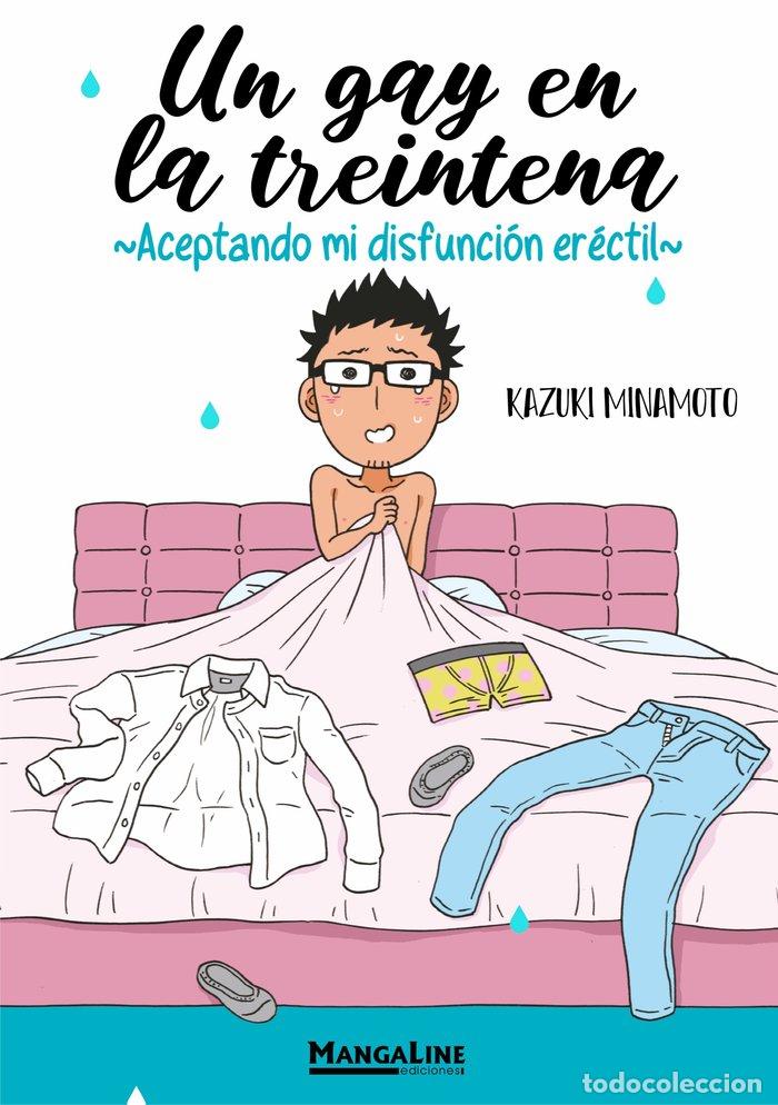Livros: UN GAY EN LA TREINTENA - MINAMOTO, KAZUKI