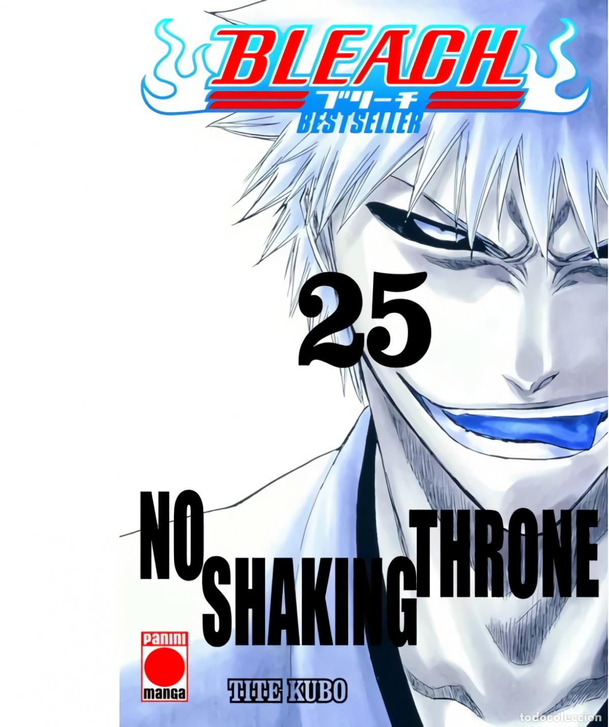 Libros: BLEACH BESTSELLER 25 - KUBO, TITE