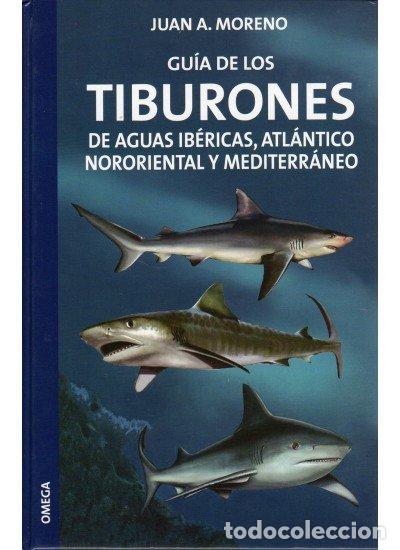 Livres: GUIA DE LOS TIBURONES AGUAS IBERICAS ATLANTICO Y MEDITERRANE - MORENO, JUAN A