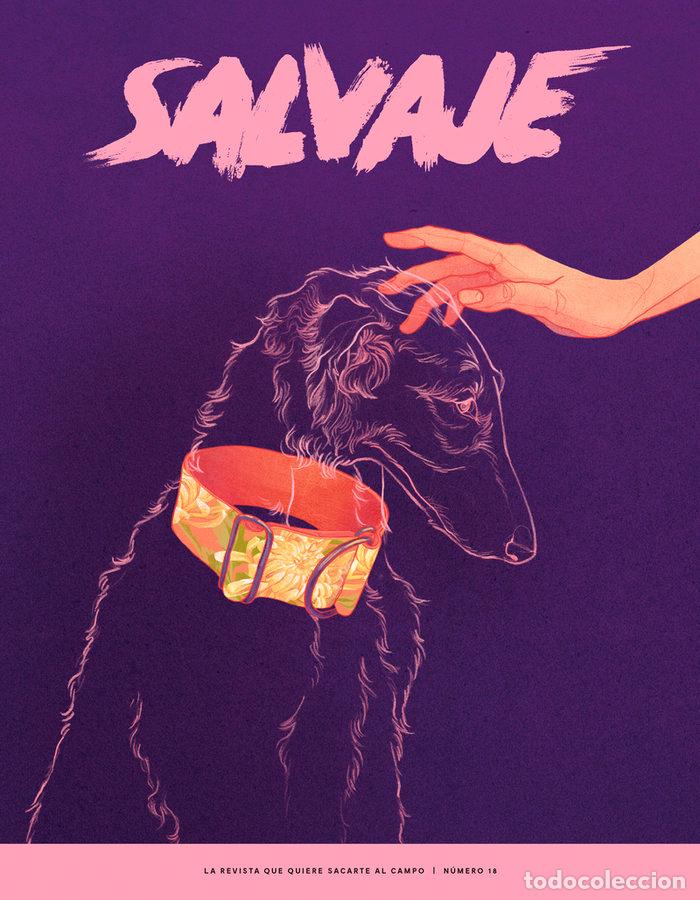 Libri: REVISTA SALVAJE 18 - AA.VV