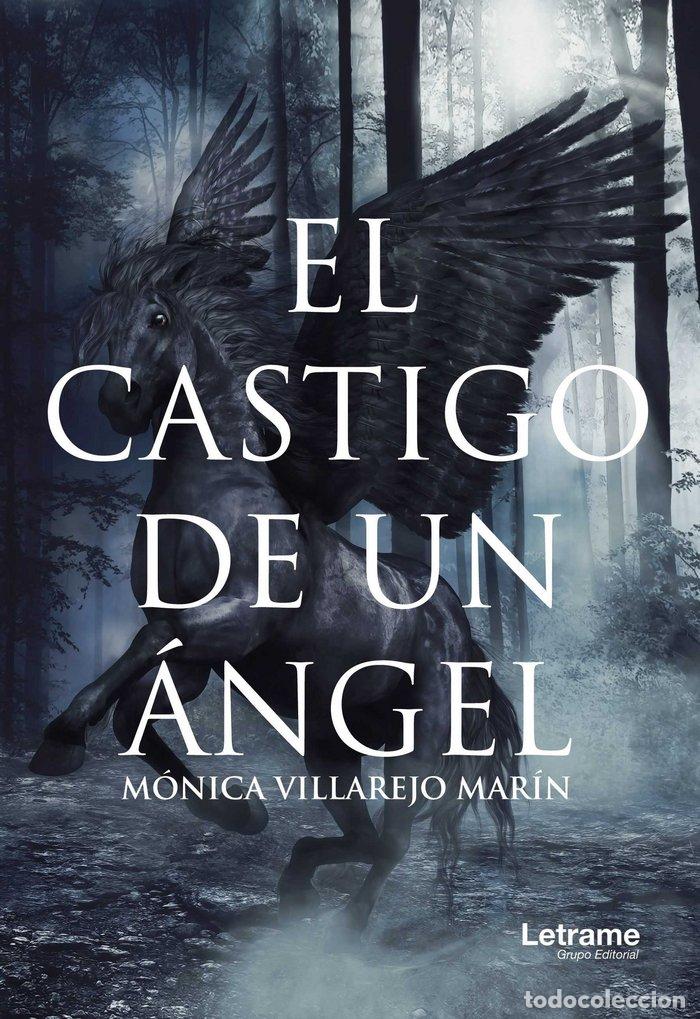 B&uuml;cher: CASTIGO DE UN ANGEL - VILLAREJO MARIN, MONICA