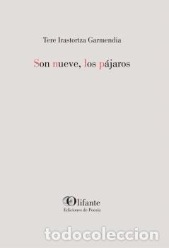 Libros: SON NUEVE LOS PAJAROS - IRASTORTZA, TERE