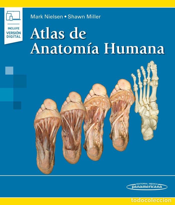 Libros: ATLAS DE ANATOMIA HUMANA - AA.VV