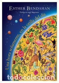 Libros: UNA HORA SOLAMENTE EN LA ORILLA DEL DIA - BENDAHAN, ESTHER