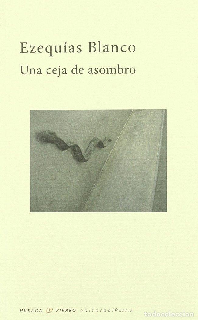 Libros: UNA CEJA DE ASOMBRO - BLANCO RUBIO, EZEQUIAS