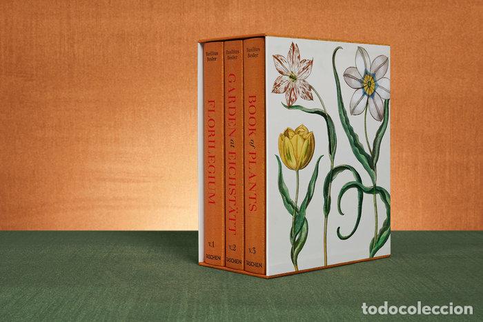 Libros: BESLER THE GARDEN AT EICHSTATT FFE - DRESSENDORFER, WERNER