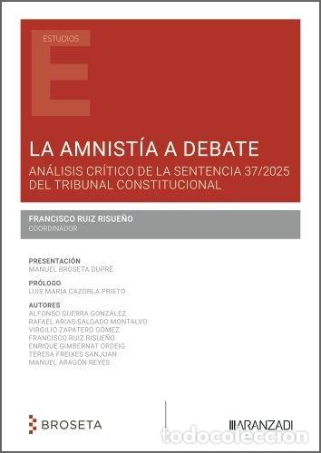 Libros: LA AMNISTIA A DEBATE - FRANCISCO RUIZ RISUE&Ntilde;O