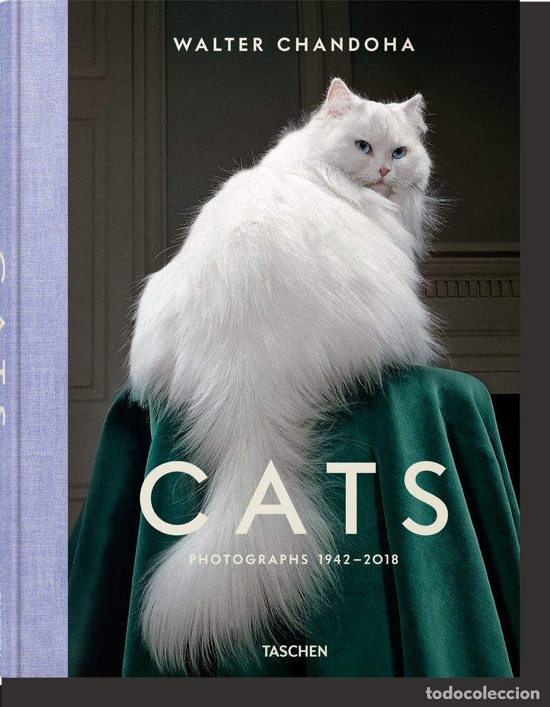 books: WALTER CHANDOHA CATS PHOTOGRAPHS 1942 2018 - MICHALS, SUSAN