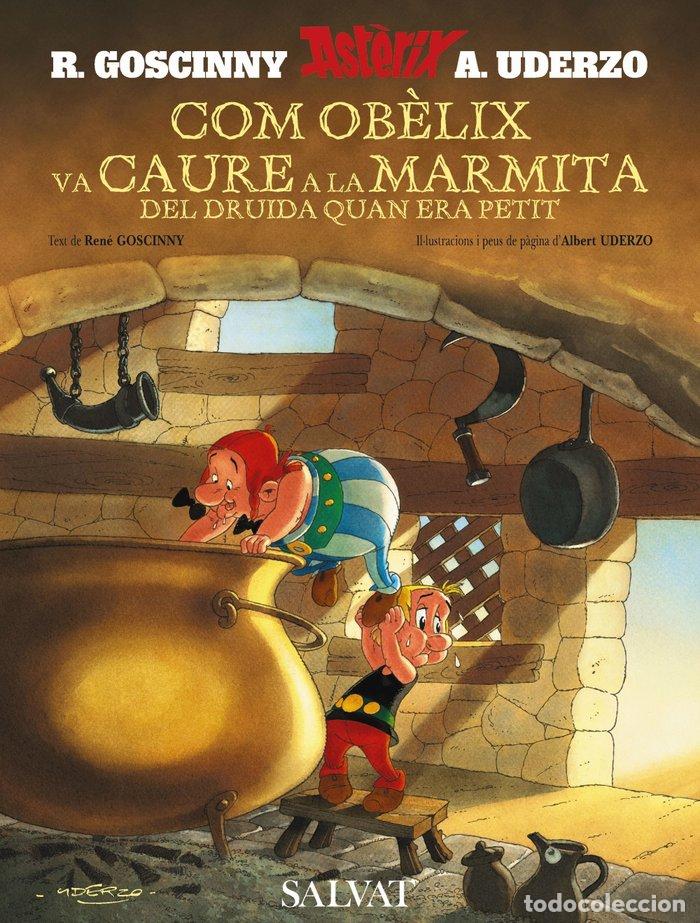 Libros: COM OBELIX VA CAURE A LA MARMITA DEL DRUIDA QUAN ERA PETIT ( - GOSCINNY, RENE