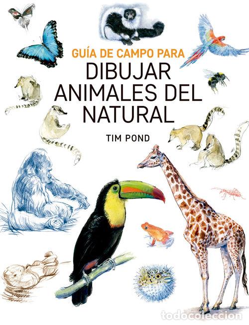 Livres: GUIA DE CAMPO PARA DIBUJAR ANIMALES DEL NATURAL - BOND, TIM