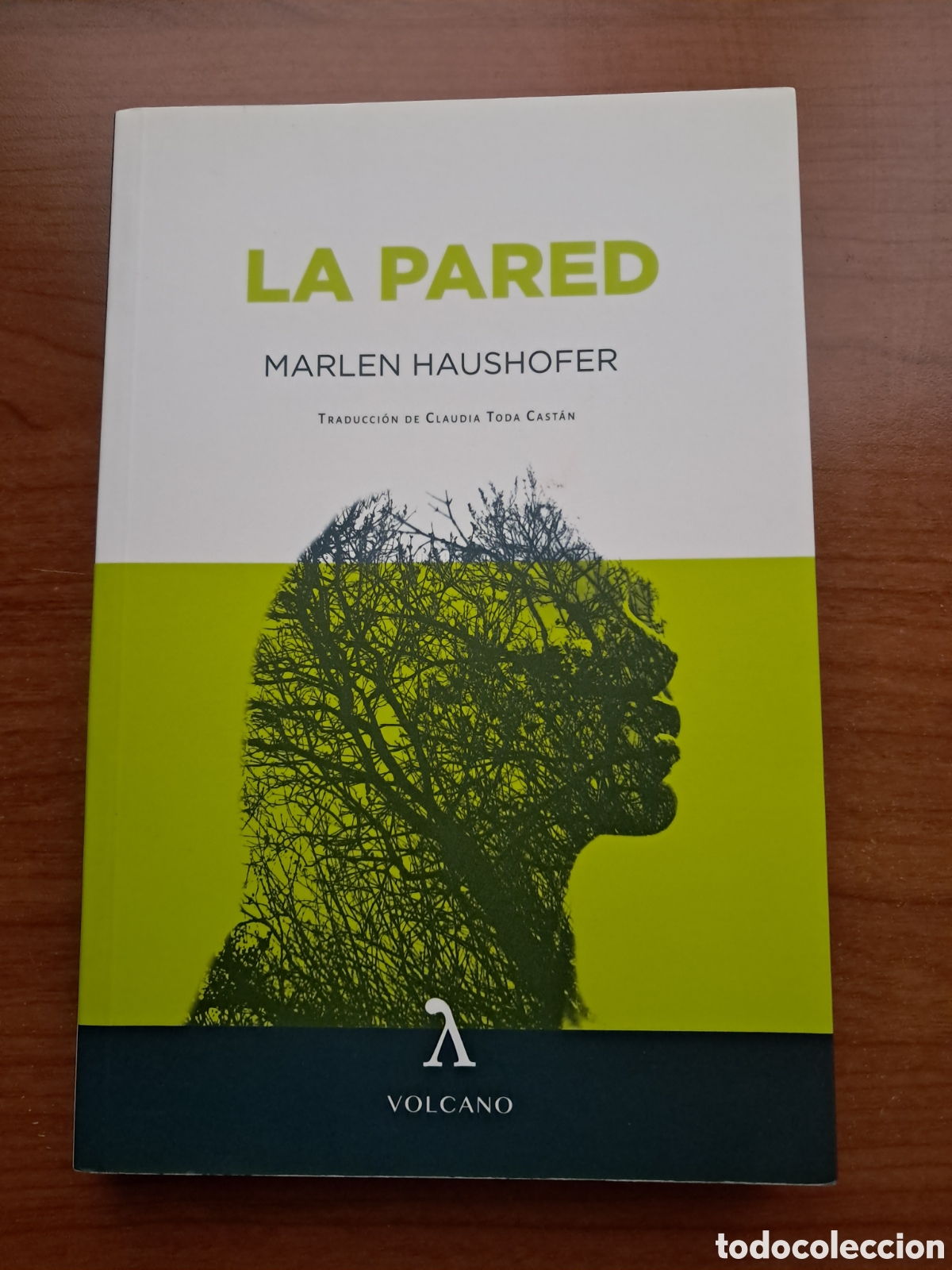 Libros: La pared Marlen Haushofer
