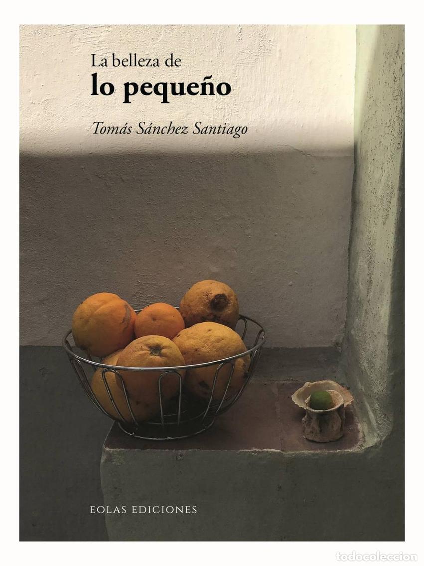 Libros: LA BELLEZA DE LO PEQUE&Ntilde;O - Tom&aacute;s, S&aacute;nchez Santiago