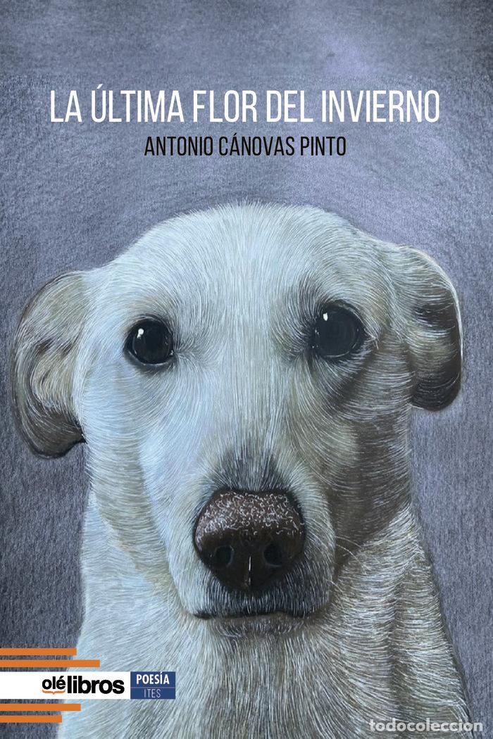 Libros: LA ULTIMA FLOR DEL INVIERNO - CANOVAS PINTO, ANTONIO