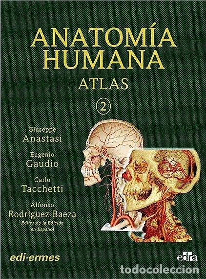 Libros: VOL II ANATOMIA HUMANA ATLAS INTERACTIVO MULTIMEDIA, SEGU - ANASTASI, GIUSEPPE