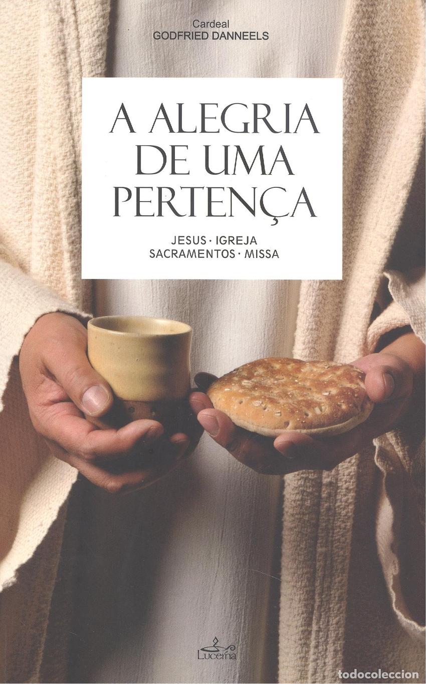 Livres: A ALEGRIA DE UMA PERTEN&Ccedil;A - Godfreed Danneels